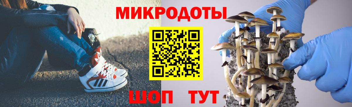 Ессентуки  Псилоцибиновые грибы ЛСД  Вход с VPN  Псилоцибиновые грибы мицелий 
